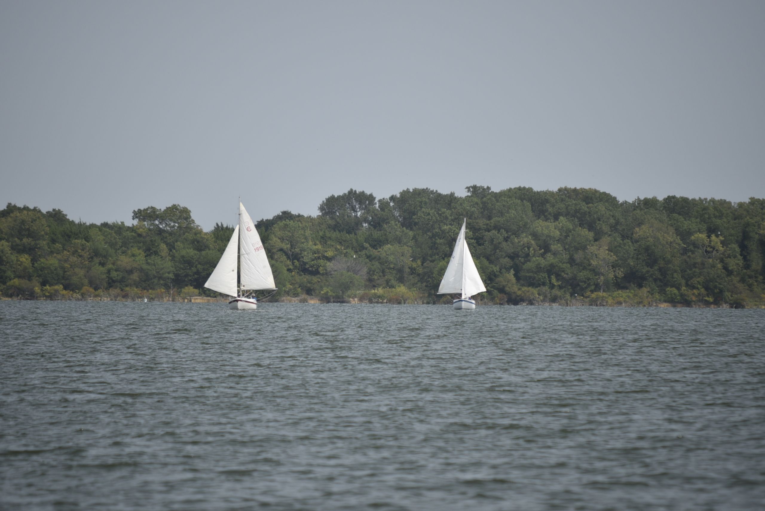 HomePage Lavon Yacht Club